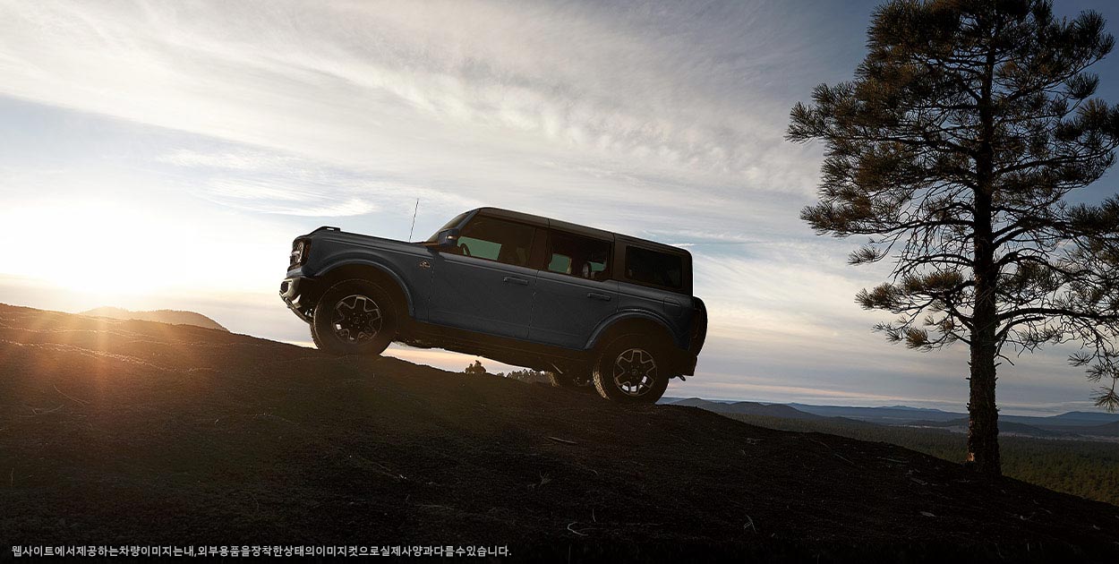 Bronco