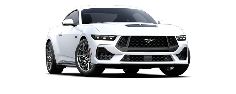 Oxford White Oxford White