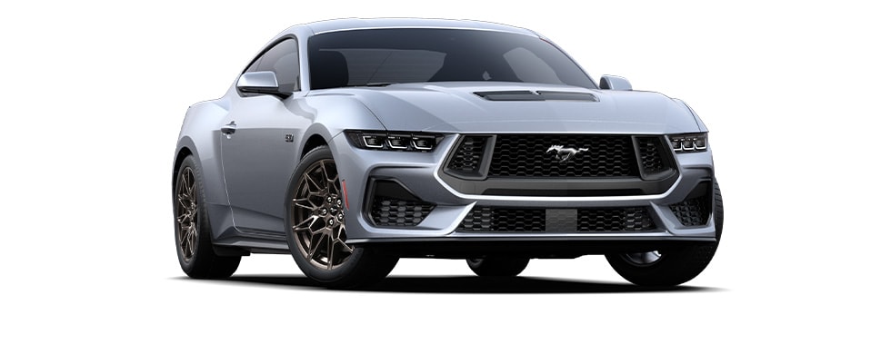 Iconic Silver Metallic