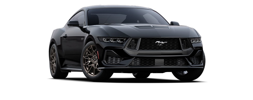 Shadow Black