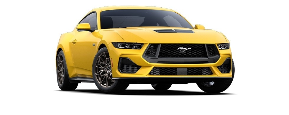 Yellow Splash