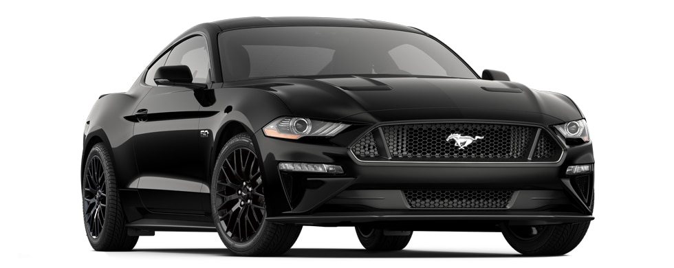 Shadow Black
