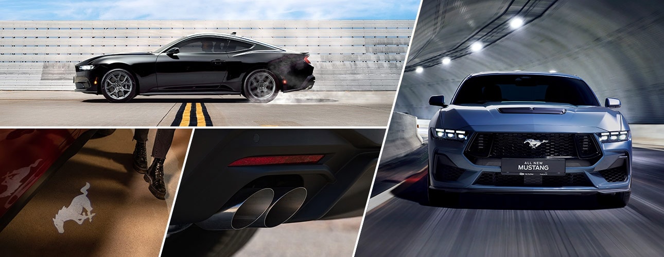 Black Mustang