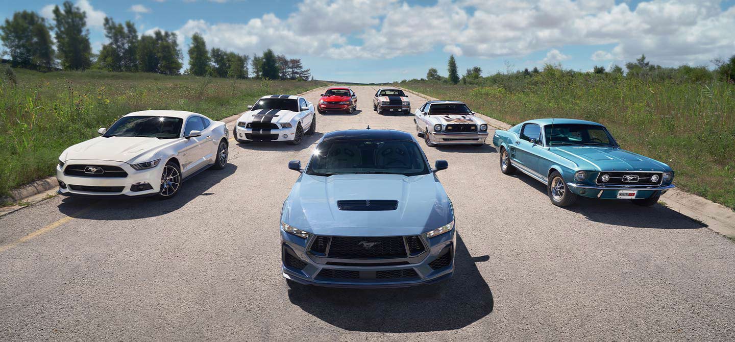 가까운 포드 전시장 찾기